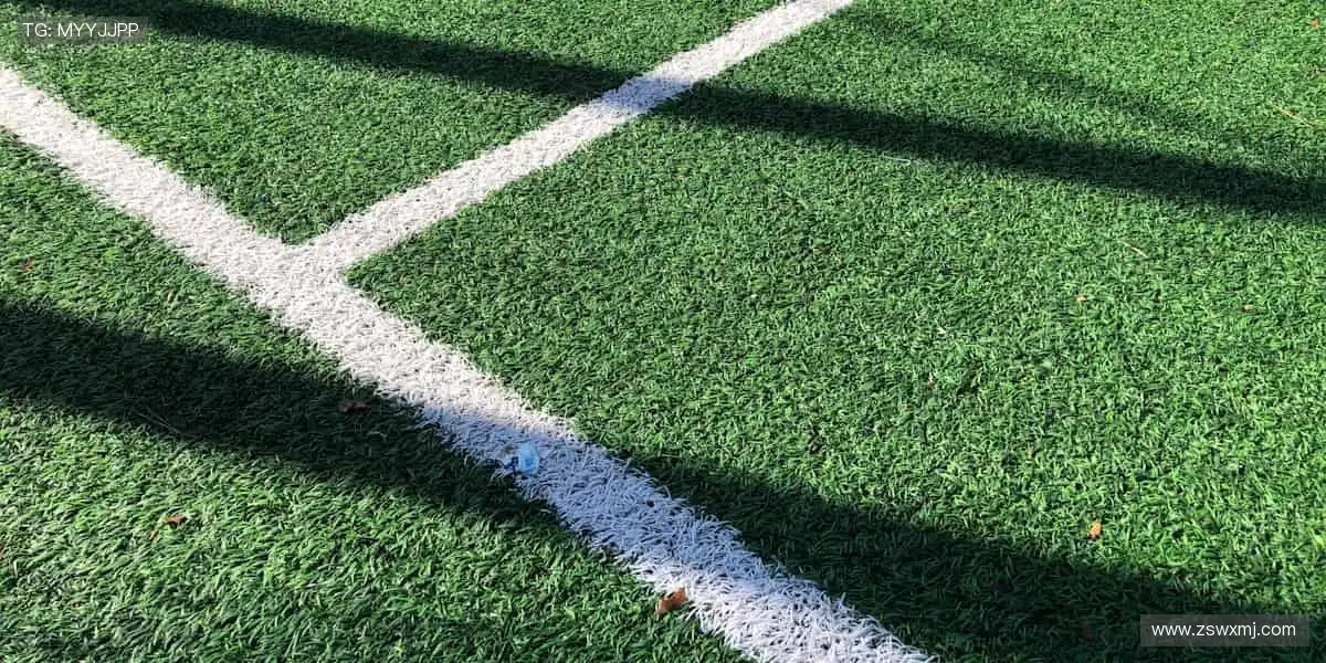 全球直播,你的呐喊从未缺席!📱